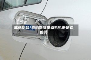 威驰新款/威驰新款发动机机盖是铝的吗