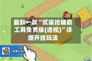 最新一款“贰柒拾辅助工具免费版(透视)”详细开挂玩法