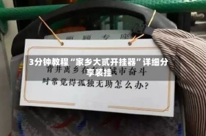3分钟教程“家乡大贰开挂器”详细分享装挂