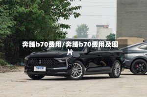 奔腾b70费用/奔腾b70费用及图片