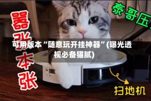 可用版本“随意玩开挂神器”(曝光透视必备猫腻)