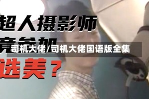 司机大佬/司机大佬国语版全集