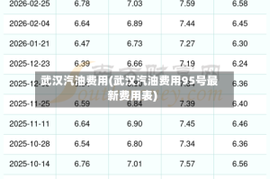 武汉汽油费用(武汉汽油费用95号最新费用表)