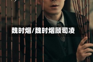 魏时烟/魏时烟顾司凌