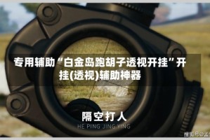 专用辅助“白金岛跑胡子透视开挂”开挂(透视)辅助神器
