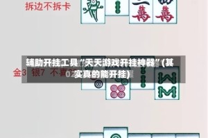 辅助开挂工具“天天游戏开挂神器”(其实真的能开挂)