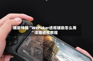 辅助神器“WePoker透视辅助怎么用”详细透视教程