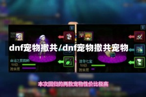 dnf宠物撒共/dnf宠物撒共宠物