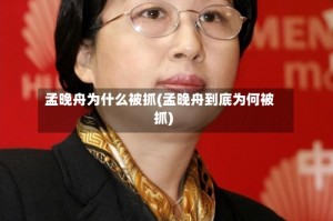 孟晚舟为什么被抓(孟晚舟到底为何被抓)