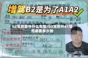 b2驾照能开什么车型/b2驾照升a1驾照需要多少钱