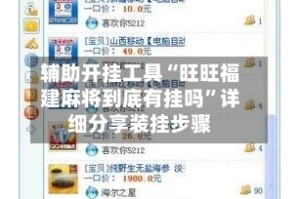 辅助开挂工具“旺旺福建麻将到底有挂吗”详细分享装挂步骤