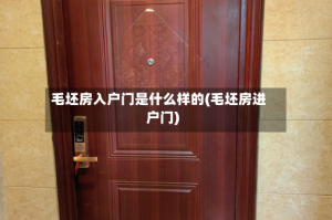 毛坯房入户门是什么样的(毛坯房进户门)