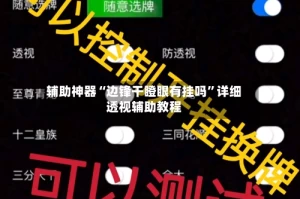 辅助神器“边锋干瞪眼有挂吗”详细透视辅助教程