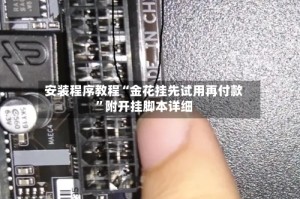 安装程序教程“金花挂先试用再付款”附开挂脚本详细