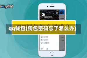 qq钱包(钱包密码忘了怎么办)