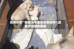 实测分享“微信斗牛透视免费软件”透视开挂辅助教程