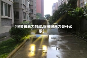 【很黄很暴力的歌,很黄很暴力是什么歌】