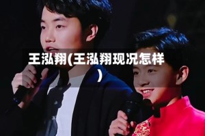 王泓翔(王泓翔现况怎样)
