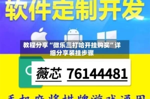 教程分享“微乐三打哈开挂购买”详细分享装挂步骤