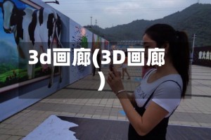 3d画廊(3D画廊)