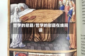 哲学的慰藉/哲学的慰藉在线阅读