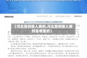 【河北首例输入病例,河北首例输入病例是哪里的】