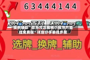 实测辅助”微乐河北麻将小程序万能挂免费版”详细分享装挂步骤