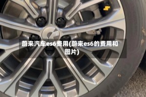蔚来汽车es6费用(蔚来es6的费用和图片)