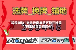 教程辅助“微乐云南麻将万能开挂器”(原来确实是有插件)