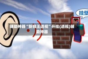 辅助神器“新猴王透视”开挂(透视)辅助神器