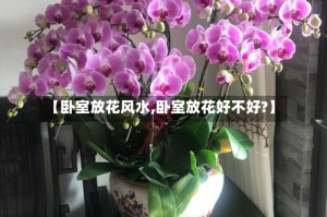 【卧室放花风水,卧室放花好不好?】