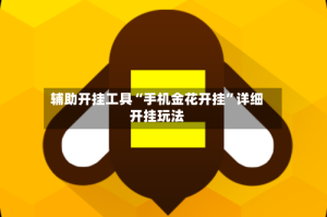 辅助开挂工具“手机金花开挂”详细开挂玩法