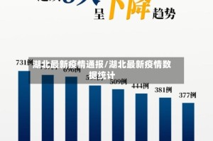 湖北最新疫情通报/湖北最新疫情数据统计
