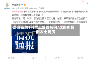 沈阳新增1例本土确诊病例/沈阳新增一例本土病历
