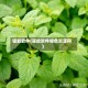 驱蚊软件(驱蚊软件绿色资源网)