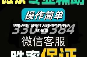 玩家必读“哥哥打大a外卦”开挂(透视)辅助