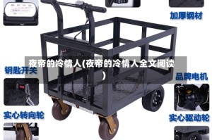 夜帝的冷情人(夜帝的冷情人全文阅读)