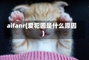 aifanr(爱犯困是什么原因)