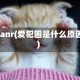 aifanr(爱犯困是什么原因)