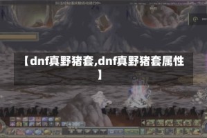 【dnf真野猪套,dnf真野猪套属性】