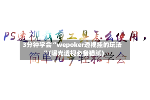 3分钟学会“wepoker透视挂的玩法”(曝光透视必备猫腻)