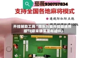 开挂辅助工具“微乐万能开挂器通用版”(原来确实是有插件)