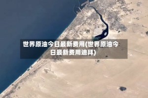 世界原油今日最新费用(世界原油今日最新费用迪拜)