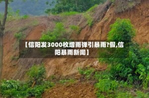 【信阳发3000枚增雨弹引暴雨?假,信阳暴雨新闻】