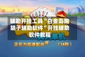 辅助开挂工具“白金岛跑胡子辅助软件”开挂辅助软件教程