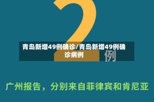 青岛新增49例确诊/青岛新增49例确诊病例