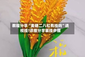 教程分享“麦穗二八杠有挂吗”透视挂!详细分享装挂步骤