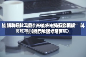 辅助开挂工具“wepoker钻石充值提高胜率”(曝光透视必备猫腻)