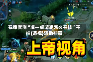 玩家实测“凑一桌游戏怎么开挂”开挂(透视)辅助神器