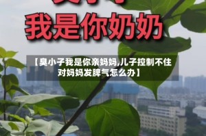【臭小子我是你亲妈妈,儿子控制不住对妈妈发脾气怎么办】